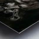 20230923 163621   Copy Metal print