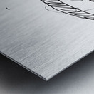 20230805 001714 3   Copy Metal print