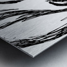 PSX 20240722 174256   Copy Metal print