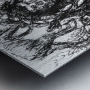 20230628 222744 2 EDIT   Copy Metal print