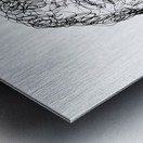 20230628 221350 EDIT   Copy Metal print