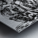 20230202 204734 EDIT   Copy Metal print