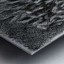 20230716 231718 2   Copy Metal print