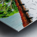 20231210 161040 3 Metal print