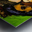 20240108 180820 10 Metal print