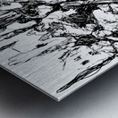 20231224 065952 4 Metal print