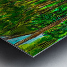 1 SANT 1 Metal print