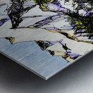 20240108 1629490 3 Metal print