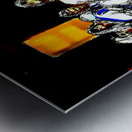 20231231 1339460 25 Metal print