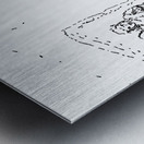 PSX 20240722 190518 Metal print