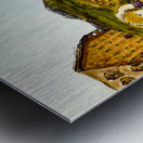 20240101 033347 Metal print