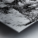 20231224 083627 3 Metal print