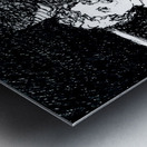 20231113 231115 3 Metal print