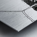 PSX 20240722 190000 Metal print