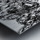 20240113 2257510 7 Metal print