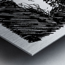 PSX 20240722 181347 Metal print