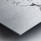 PSX 20240722 180548 Metal print