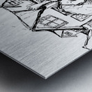 20240214 005810 5   Copy Metal print