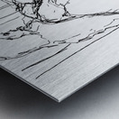 20240120 204155 3   Copy Metal print