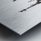 20240211 025423 3   Copy Metal print