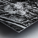 20240214 231155 7   Copy Metal print