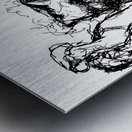 20240121 004119 2   Copy Metal print