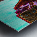 Marc Melis 2 13 24 250   20240213   AdobeR   Copy Metal print