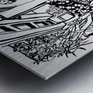 20240207 004024 2   Copy Metal print