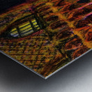 Marc Melis 2 13 24 251   20240213   AdobeR   Copy Metal print