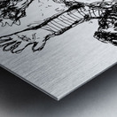 20240125 205726 2   Copy Metal print