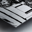 20240124 234107 2   Copy Metal print