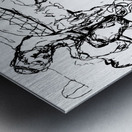 PSX 20240722 230913 Metal print