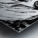 20240307 142258 3 Metal print