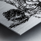 20240314 202814 2 Metal print