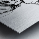 20240307 142150 3 Metal print