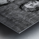 20240309 004217 25 Metal print