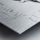 20240307 141924 4 Metal print