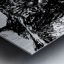 20240307 210517 3 Metal print