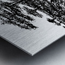 20240328 004220 2 Metal print