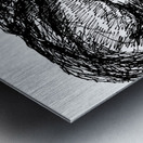 20240520 0157390 2 Metal print