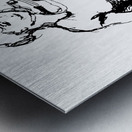 20240601 230103 5 Metal print