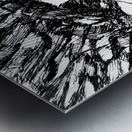 20240520 015640 4 Metal print