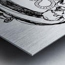 20240315 173626 2 Metal print