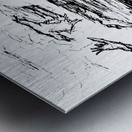 20240312 230101 2 Metal print