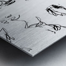 20240602 161736 3 Metal print