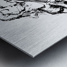 20240601 2057160 4 Metal print