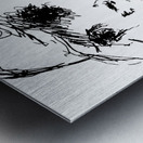 20240601 211010 2 Metal print