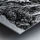 20240331 023552 Metal print