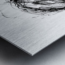 20240307 142205 3 Metal print