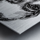 20240702 003107 9 Metal print